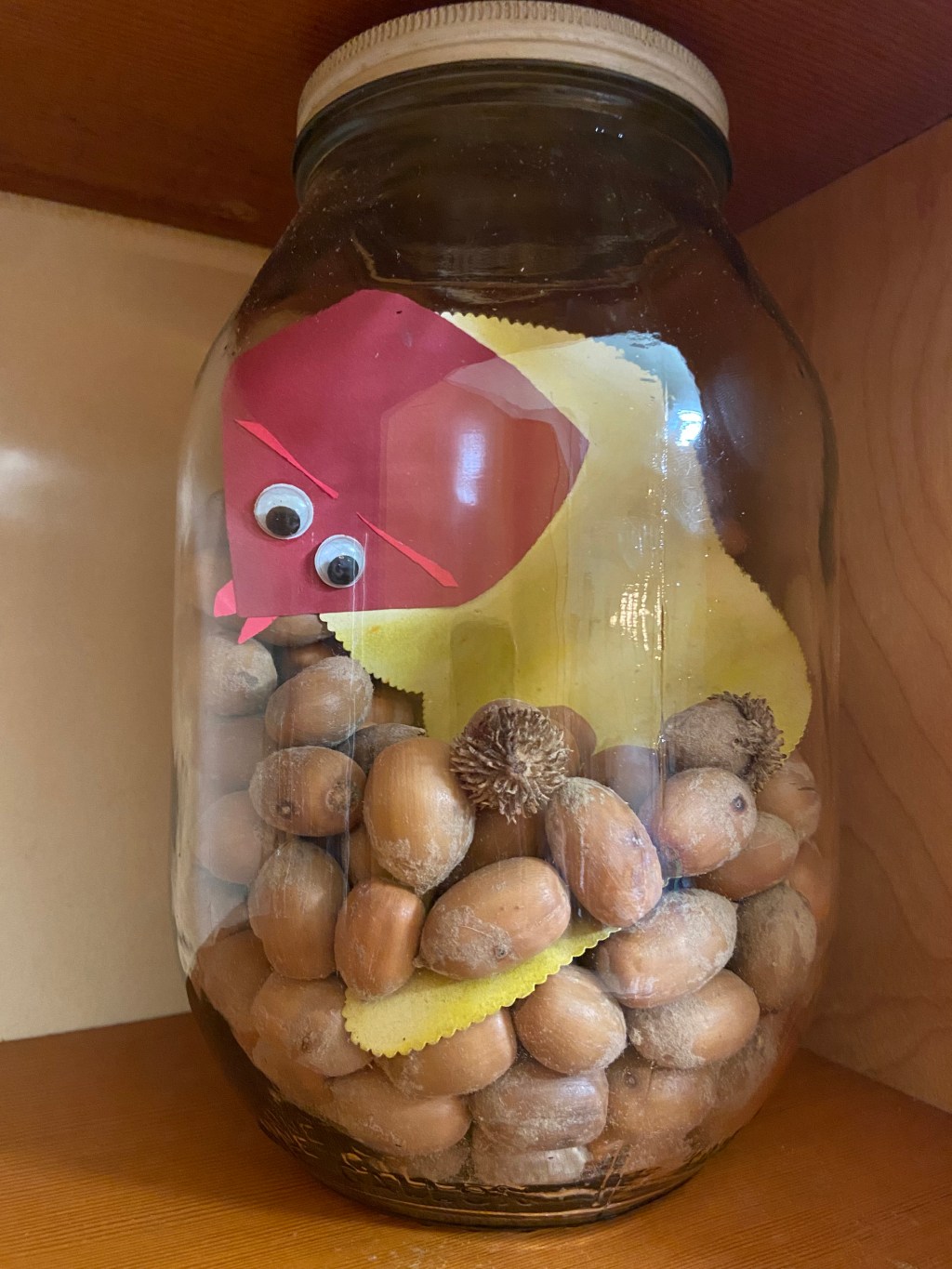 Acorn Worm and Other&nbsp;Stories